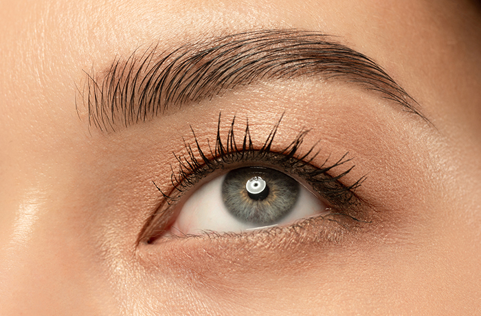 Prestation de Microblading Nancy au Sourcil Français